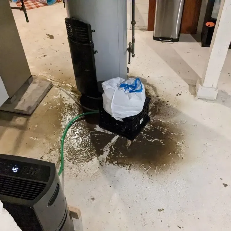 Sewage Backup Cleanup Service in Muhlenberg Park, PA